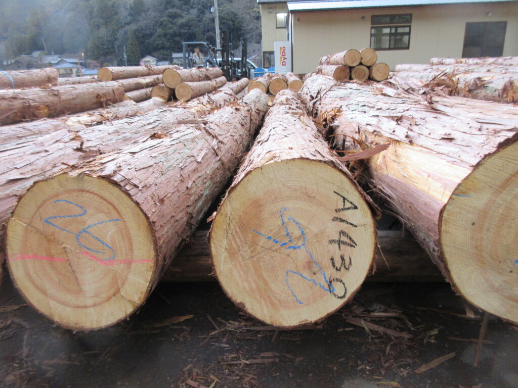 はな　秋吉丸　オーダー完成 はな 秋吉丸 オーダー完成 はな様専用 秋吉丸 オーダー完成