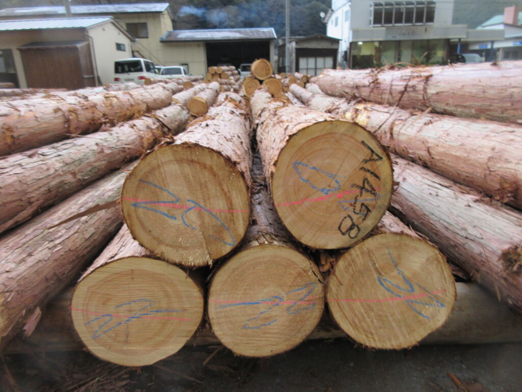 木制 シンシアZIGZAG｜天然木フローリングのボード株式会社